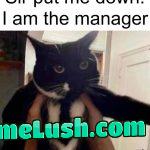 Put him down immediately, he’s Mister Busybody!