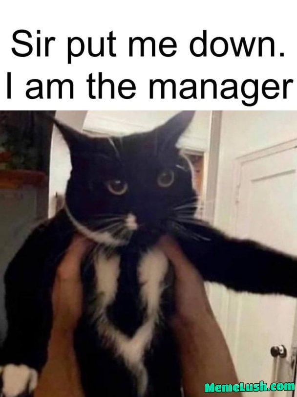 Put him down immediately, he’s Mister Busybody!