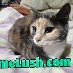 Fifi from South Africa