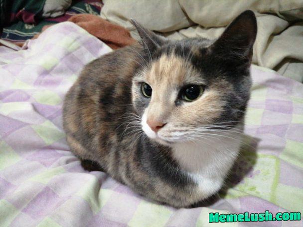 Fifi from South Africa