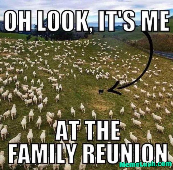 What bugs you the most at family gatherings?