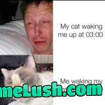 Now its your turn to wake up little shit