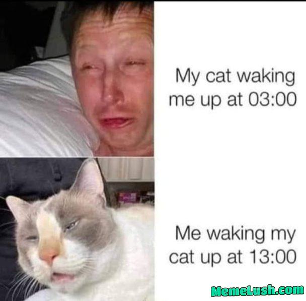 Now its your turn to wake up little shit