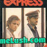 Midnight Express, based on a true story. Excellent movie!