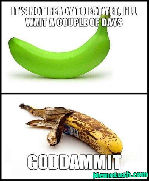 Not ready to eat yet Not ready to eat yet