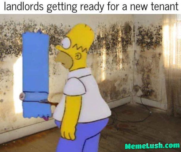 Fresh coat will fix this.