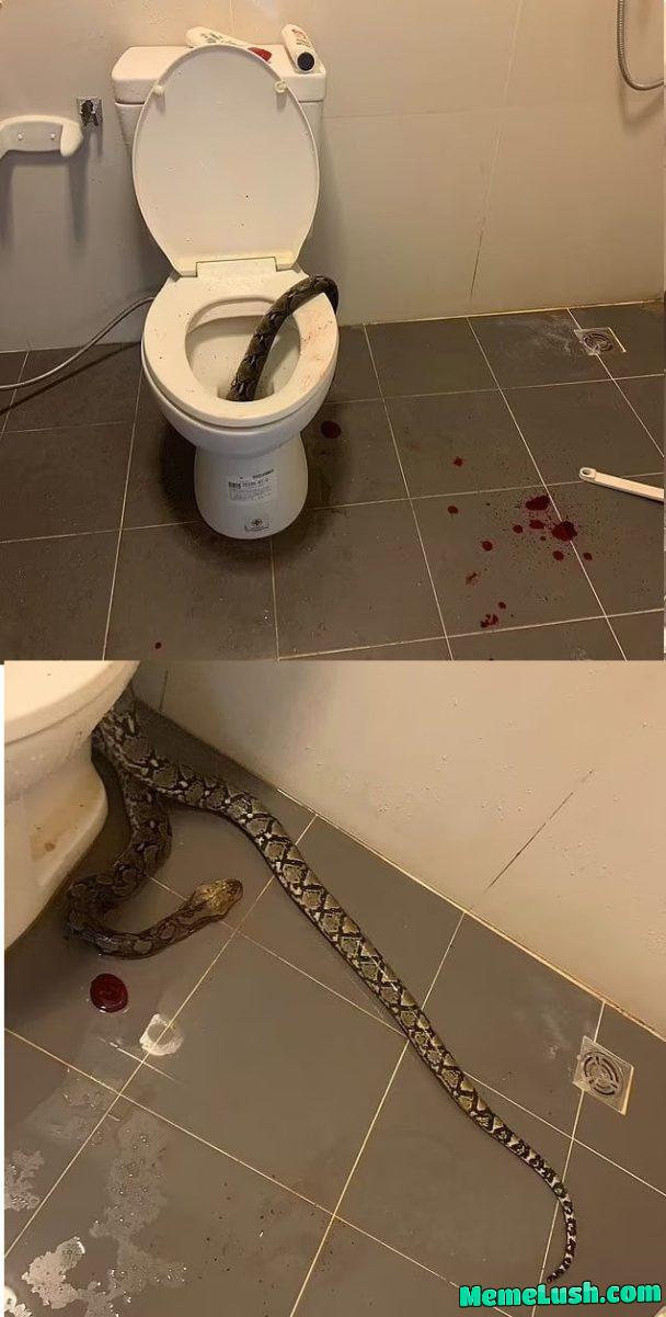 I fear no man, but that thing– it scares me. I fear no man, but that thing– it scares me.