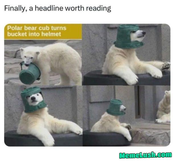 It’s giving Golden Compass