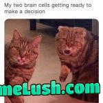 Aww shit. Here we go again.