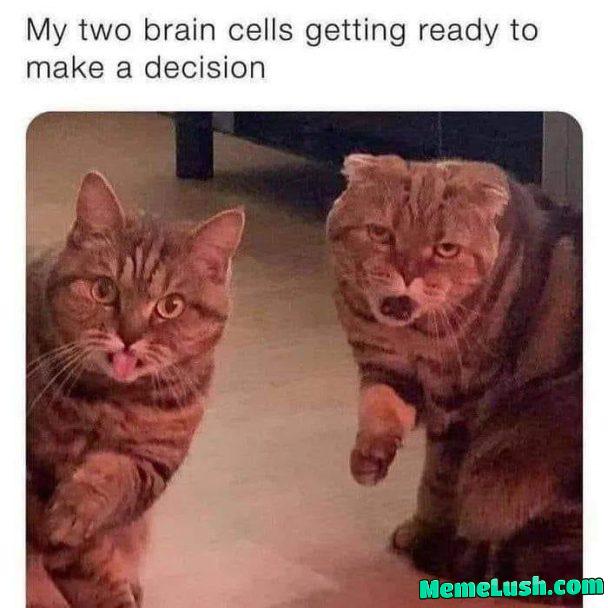 Aww shit. Here we go again. Aww shit. Here we go again.