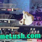 “a meme on my propaganda site, I’m vile!”