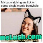 Damn cats always judging me