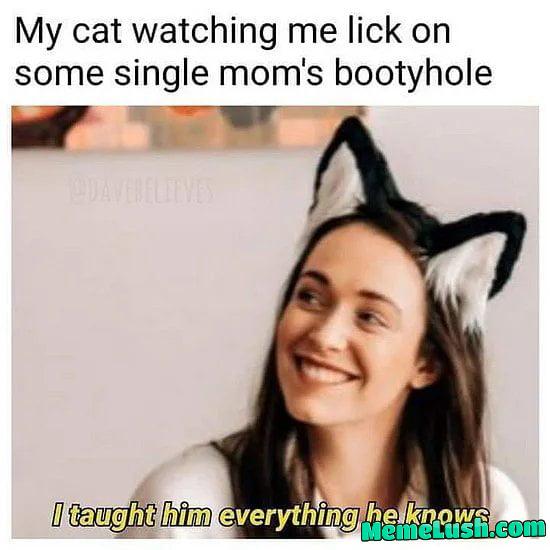 Damn cats always judging me