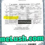 A copy of Shamala Harris’s birth certificate. NOWHERE on it does it say that she is BLACK OR AFRICAN. She’s a liar. Donald Trump is correct. Kamala Harris is NOT black and never has been. She is also the descendent of slave owners