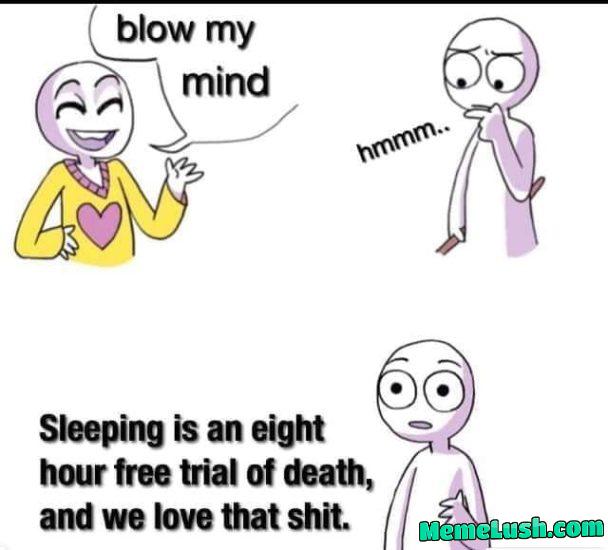 Im back from my trip from Canberra. Heres some memes. Im back from my trip from Canberra. Heres some memes.