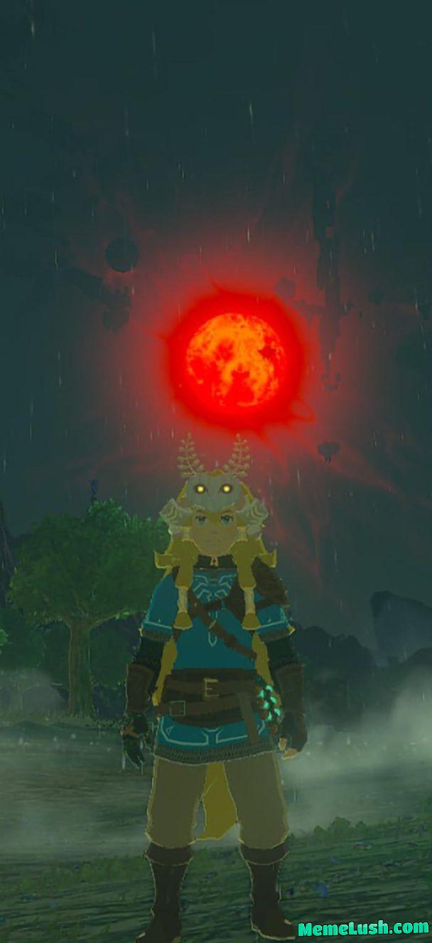 Crazy photo Crazy photo