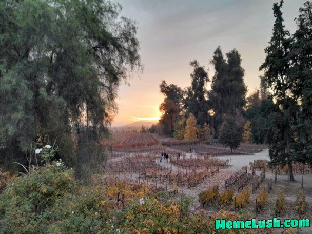 Winery in Chile