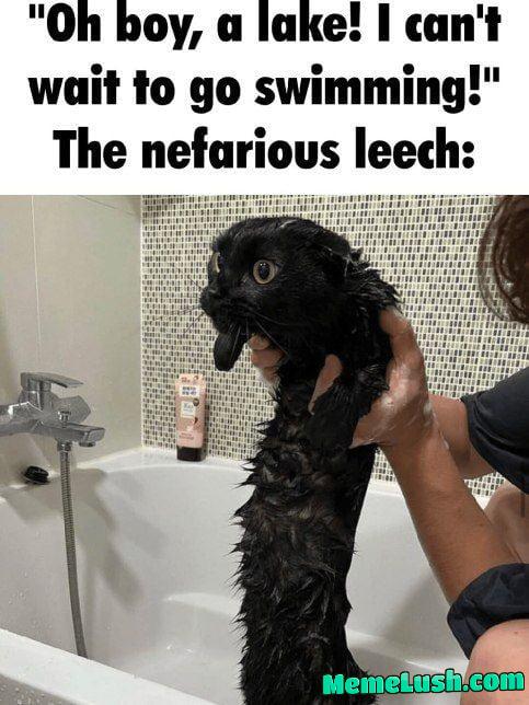 I must consume I must consume