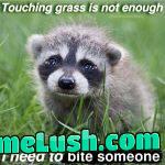 Remember… they need to suffer like you..