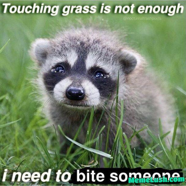 Remember… they need to suffer like you..