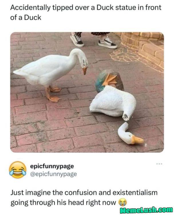 He looks so sad He looks so sad