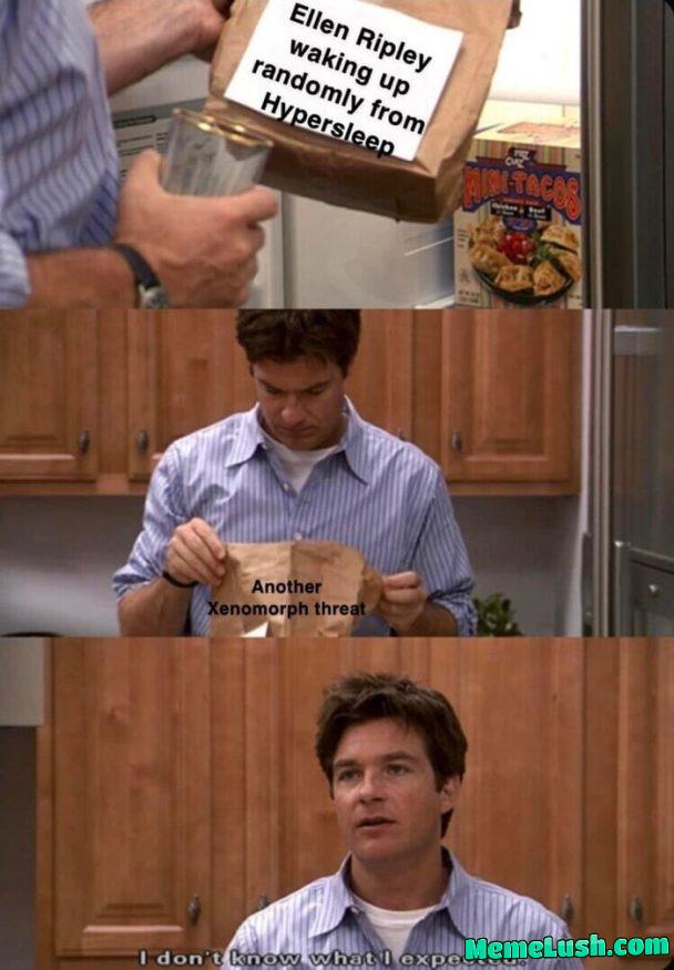 Posting memes I found on my smartphone until I get bored or die #581