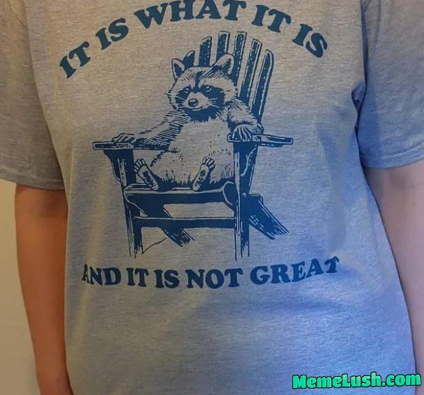 It Is What It Is And It Is Not Great.