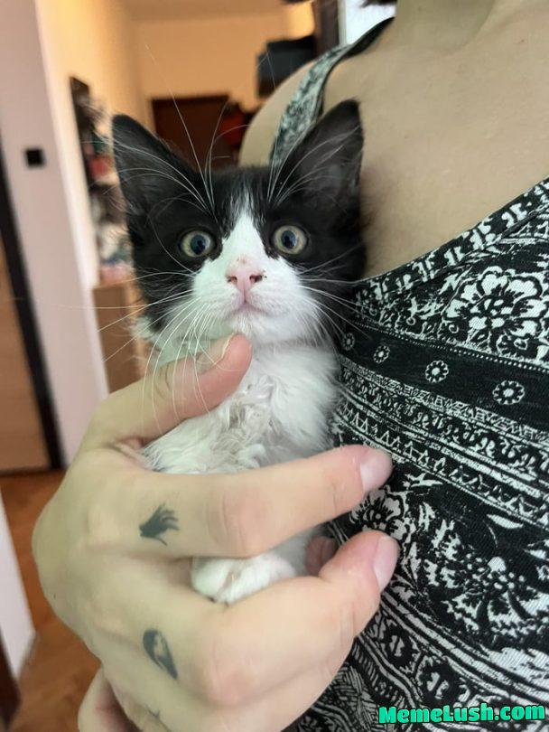 Need your help guy, looking everywhere for that gif of a fat black lady sitting on a face of the little guy struggling for his life, can’t find it.. Pls help! And Zoro here says hi and thx Need your help guy, looking everywhere for that gif of a fat black lady sitting on a face of the little guy struggling for his life, can’t find it.. Pls help! And Zoro here says hi and thx