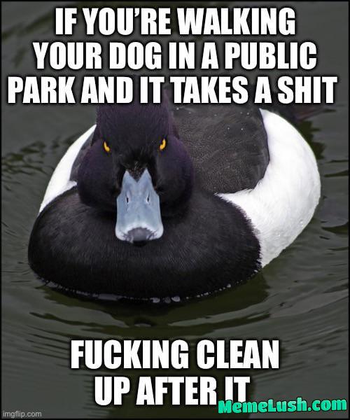 It’s a public space for people to enjoy, not your backyard