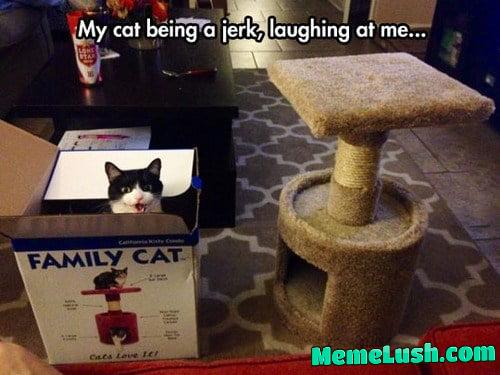 Old meme collection 1 Old meme collection 1