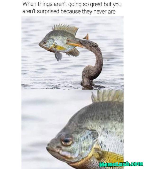 The real surprise is when things go better than expected