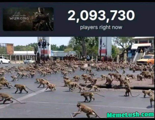 Mmmmmonkey Mmmmmonkey