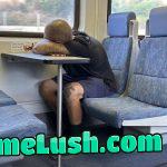 Master Race Taking a Nap on The Train