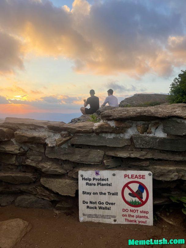 F**k them plants. F**k them plants.