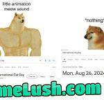 Injustice, how internet dare to prefer cat over dog