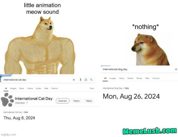 Injustice, how internet dare to prefer cat over dog