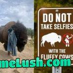 But is sooo fluffy !!!