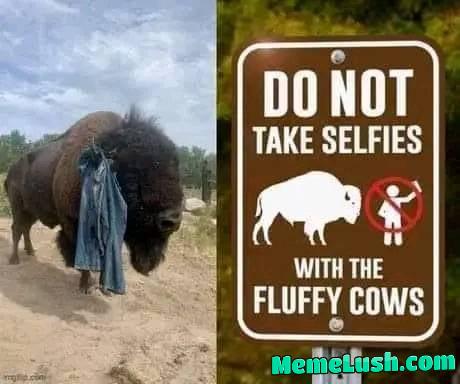 But is sooo fluffy !!!