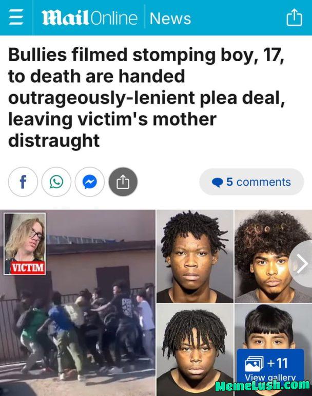 Imagine Calling Murderers “Bullies”