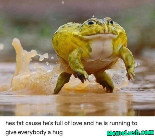 Its When’s day, my dudes! Its When’s day, my dudes!