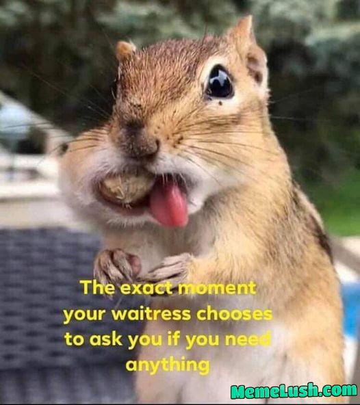 Every. Single. Time Every. Single. Time