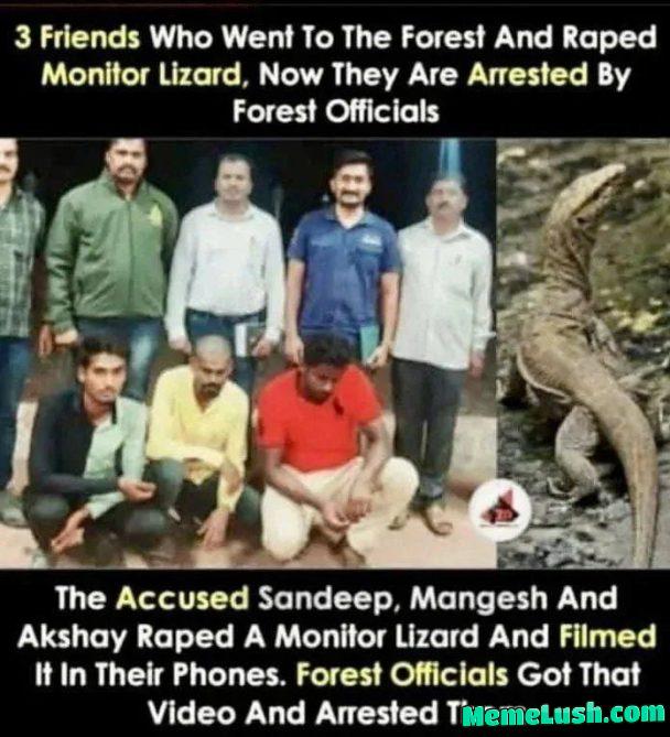 A lizard?Really?!