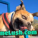 Guess the moment when this was taken…