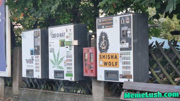 “Momy, may I get some candy gum pleeeease?”