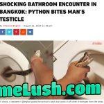 Not an urban legend
