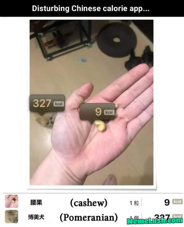 Be aware what kind of app you download.