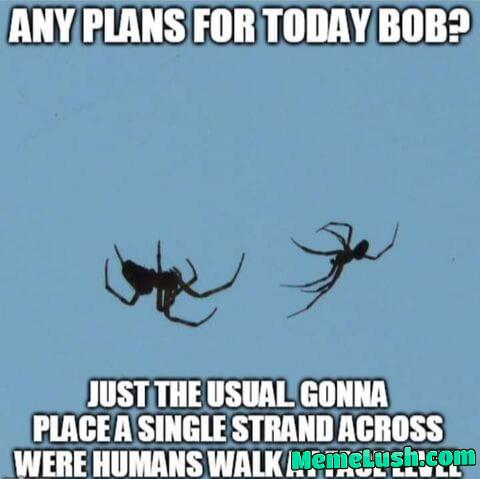 Why can’t Spiders just give us powers instead of anxiety Why can’t Spiders just give us powers instead of anxiety