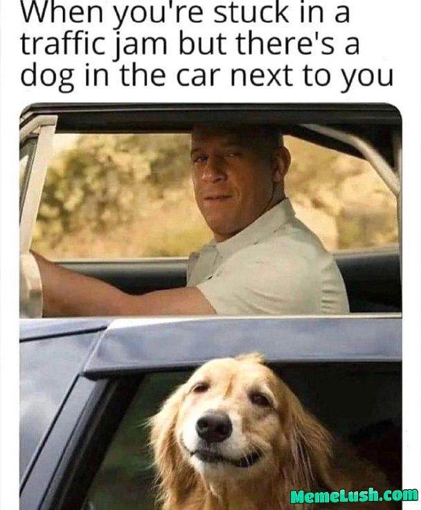 This dog makes the wait worth it!