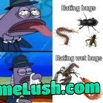 You must eat ze bhugs…