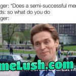 A one hit wonder they call it